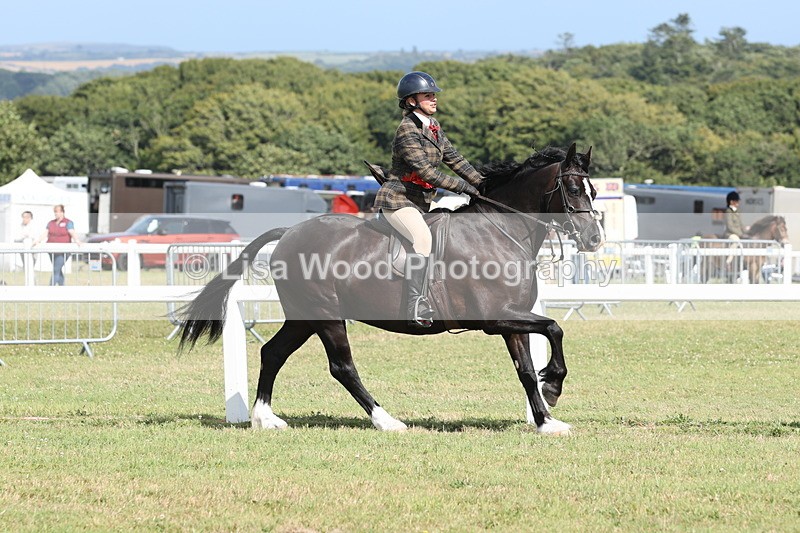 JPP_2470 - Class 19: Working Hunter 60cm