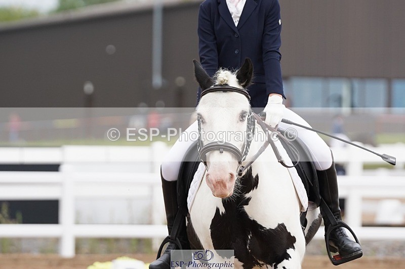 250621-101532-05643 - Quest Cls 7-11, Prelim All