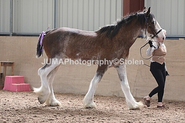 SIAL0167 - Indoor Classes