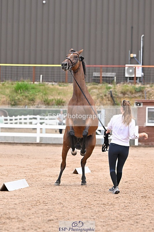 250716-141834-01010 - Trot Up 1.30 to 2.30