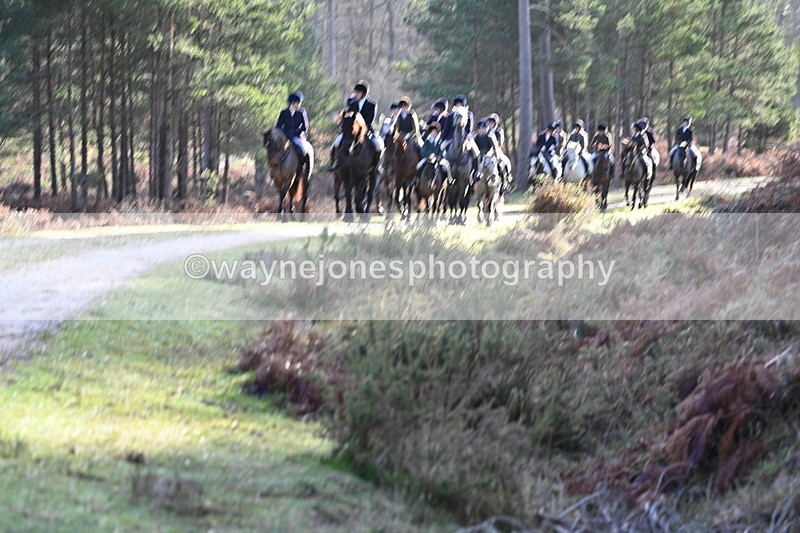 WJ7_7731 - Line 3 (no line 4 or 5)