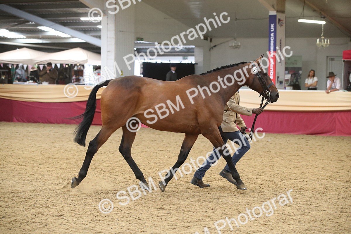 SBM_05682 - Class 9R - Regional IH Pre-Vet