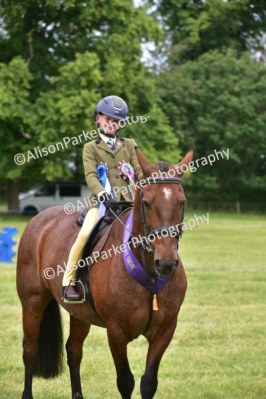 20260614-2708 - Class 13 - Pony Club Pony