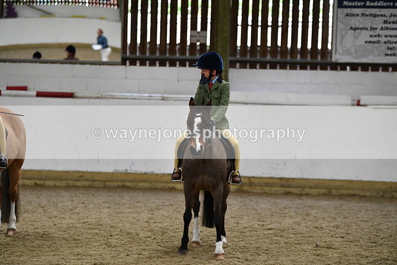 WJ5_7038 - Class 10 Childs Pony