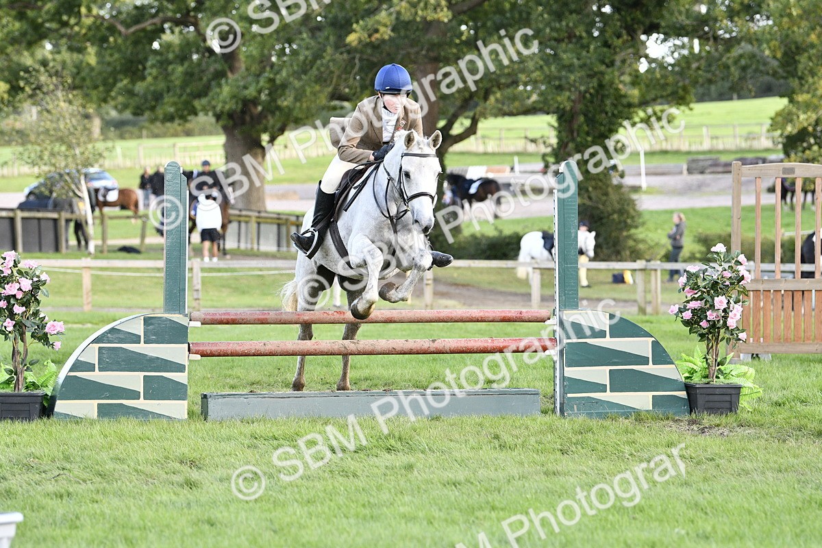 SBM_52154 - S35 - Working Hunter & Working Show Horse