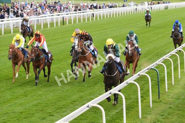 yr11062022r1-138 - Race 1 12.45pm Macmillan Ride of Their Lives, supported by Sky Bet