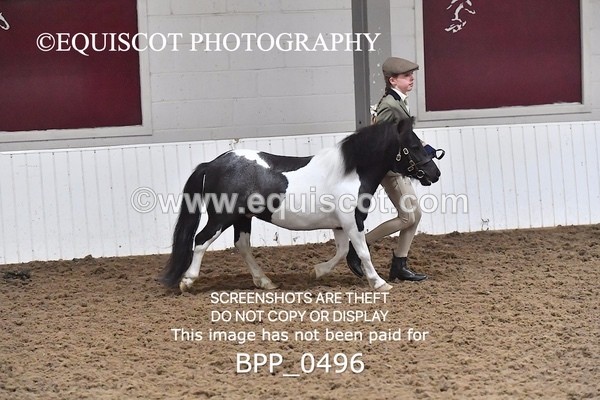 BPP_0496 - RING 1