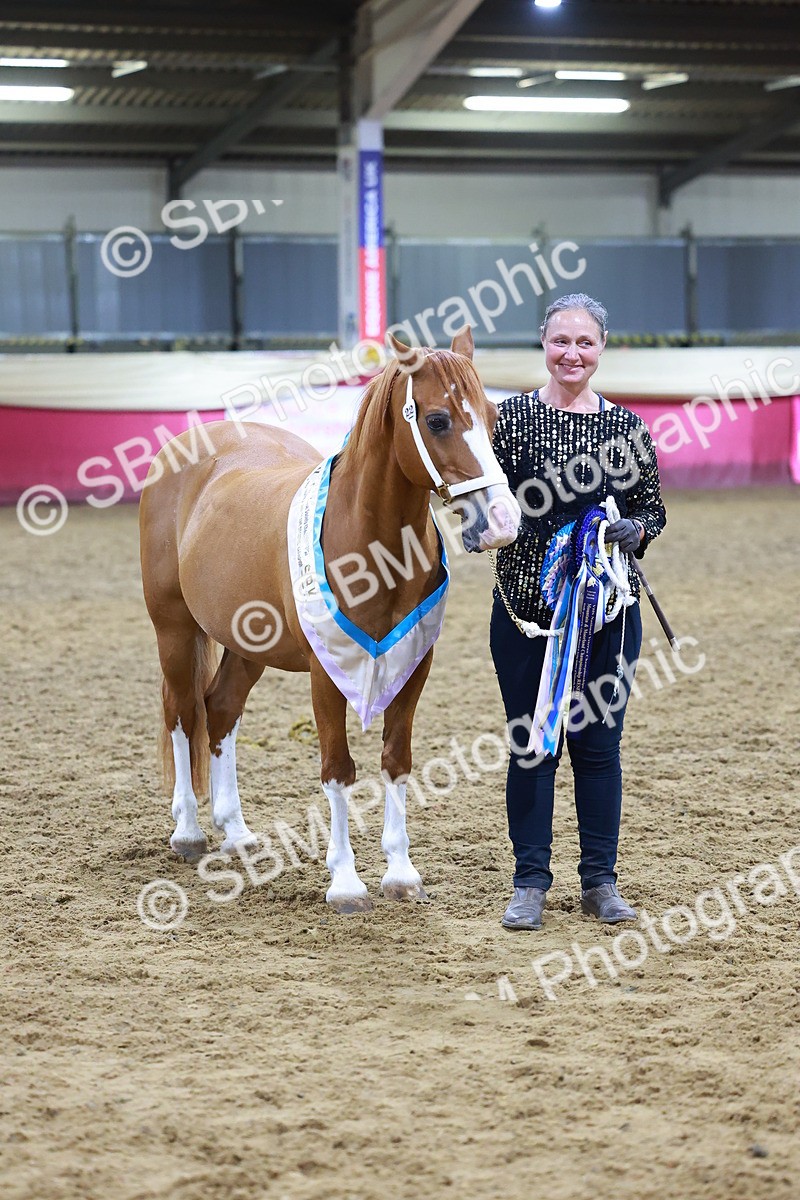 SBM_15290 - Class P - M&M Champ