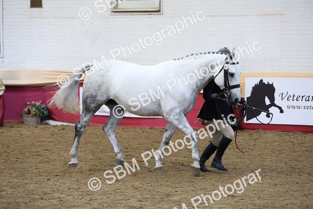 SBM_23643 - class 906 - Supreme Final - Ridden Pre Vet