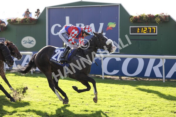 yr08102022r4-33 - Race 4 3.15pm The Coral Sprint Trophy