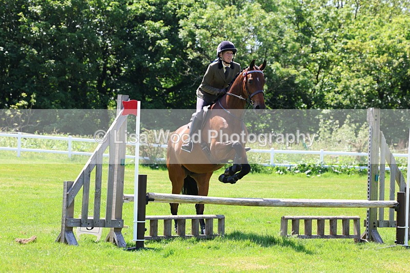 3E7A7449 - Class 31: Working Hunter Cob/Riding Horse