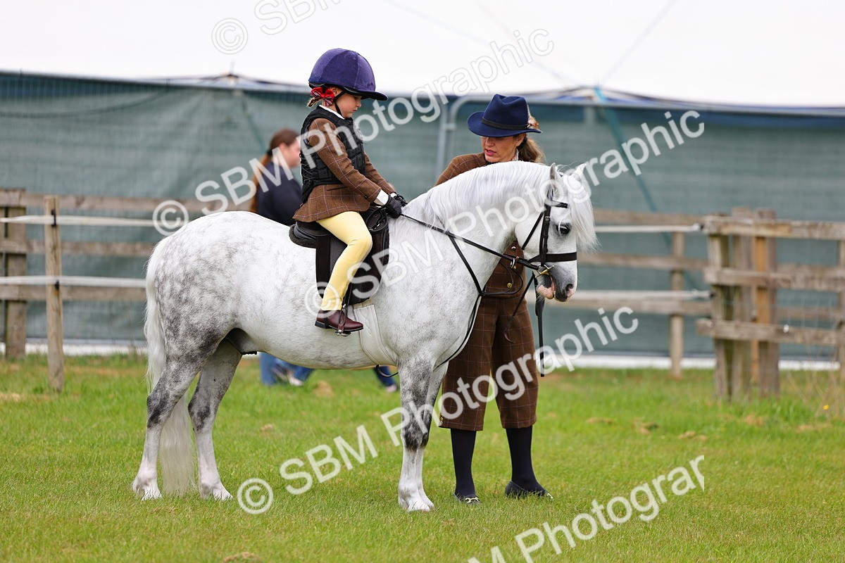 SBM_08072 - Class 42-43 - LIHS BSPS Heritage Working Sports Pony