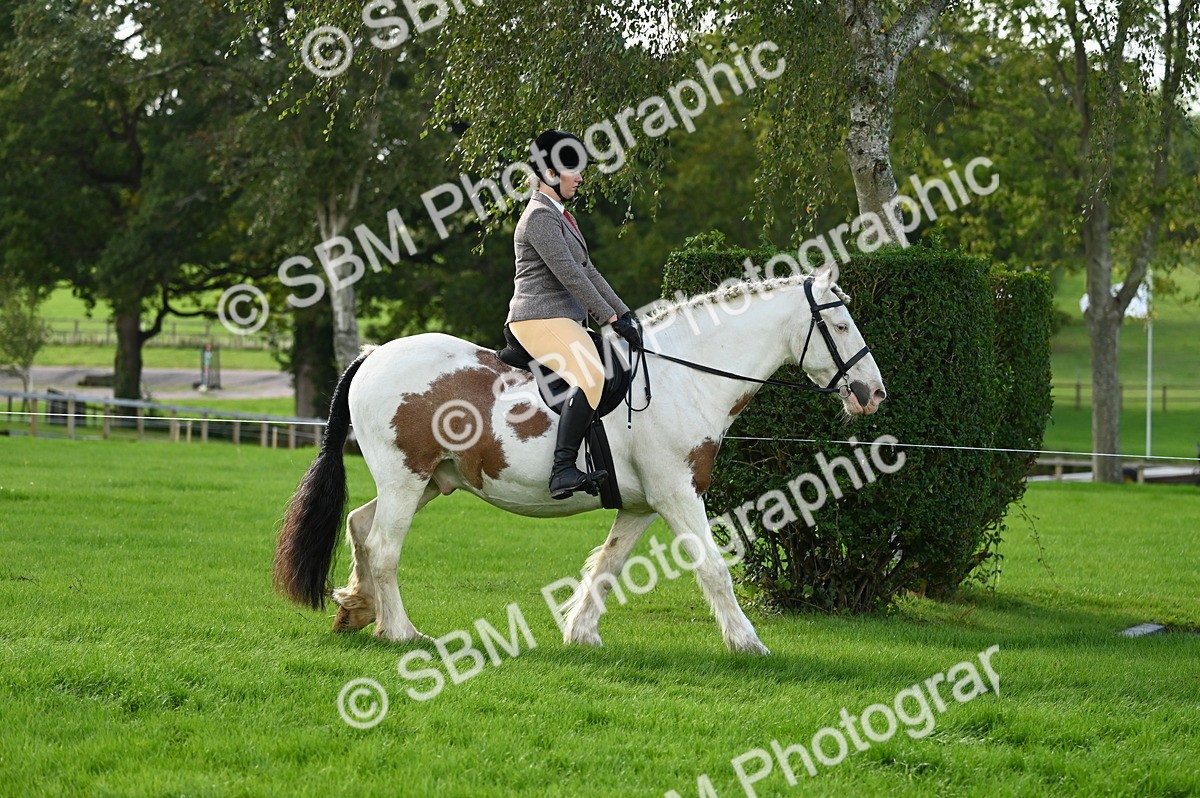 SBM_01248 - S2 - TSR Ridden Horse Showing