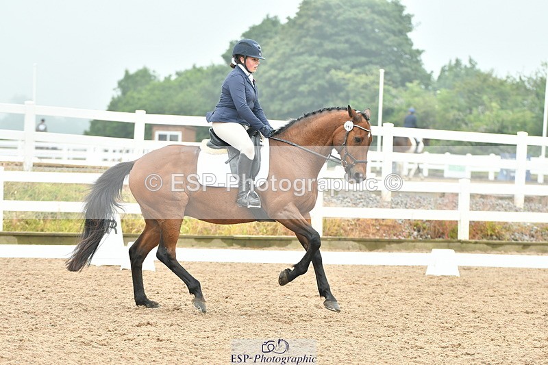 230708A-143231-02931 - Elementary 43