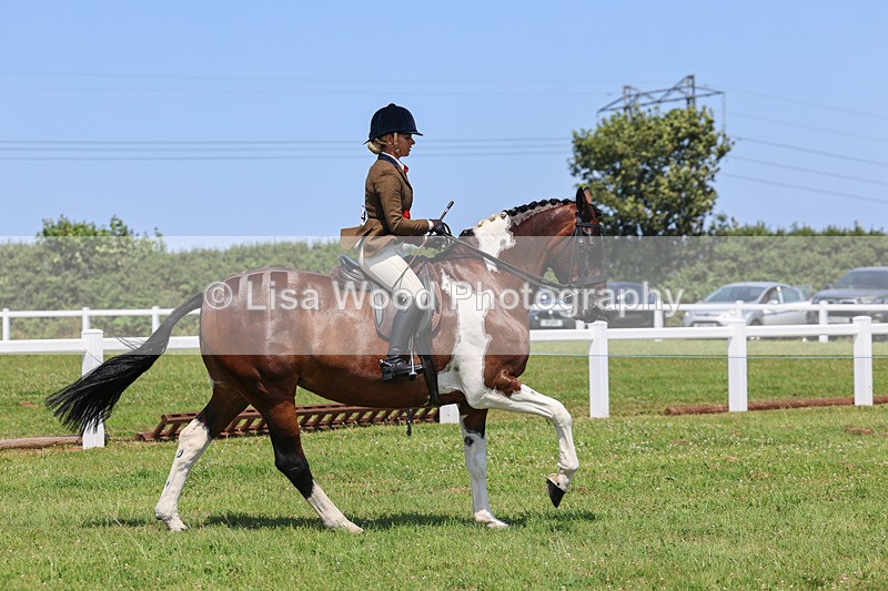 IMG_2567 - Class 38: Veteran Ridden