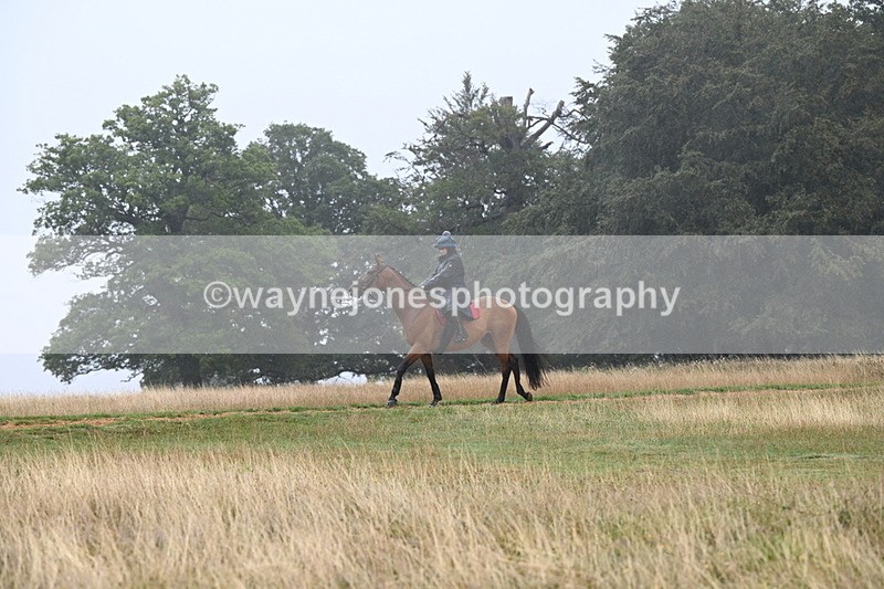 DSC_1175 - Time at Statue 11:54 to 12:12