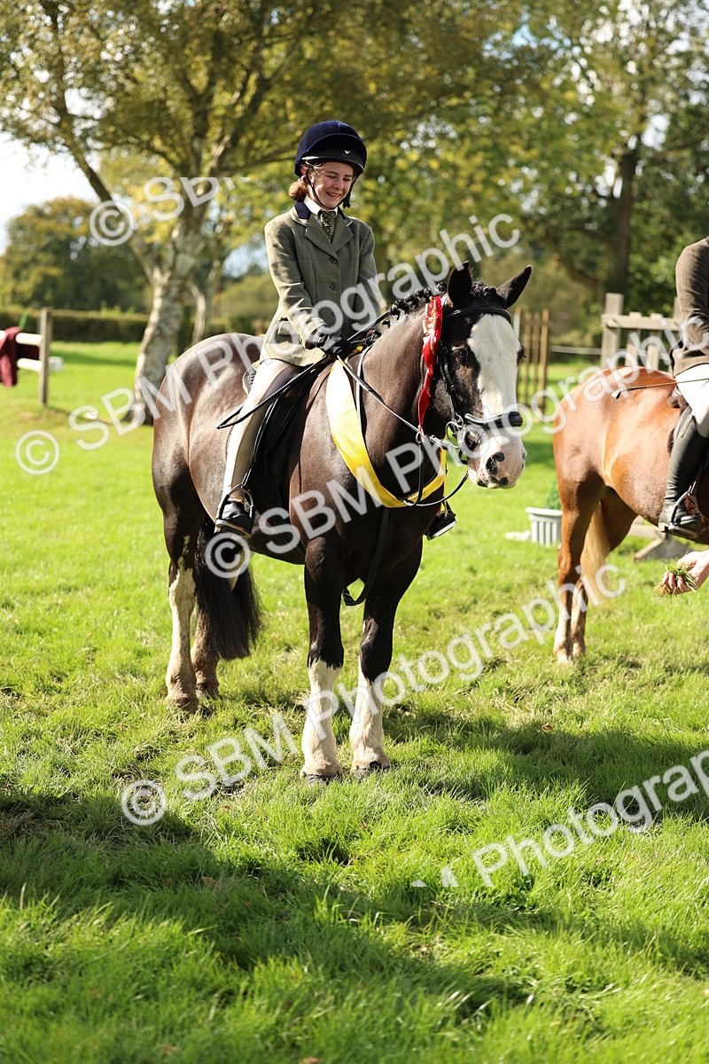 SBM_46401 - Working Hunter Pony Supreme Championship
