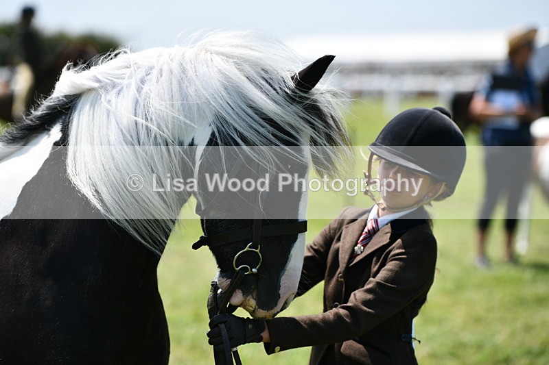 DSC_7683 - Class 64: Coloured Pony 4yrs & over