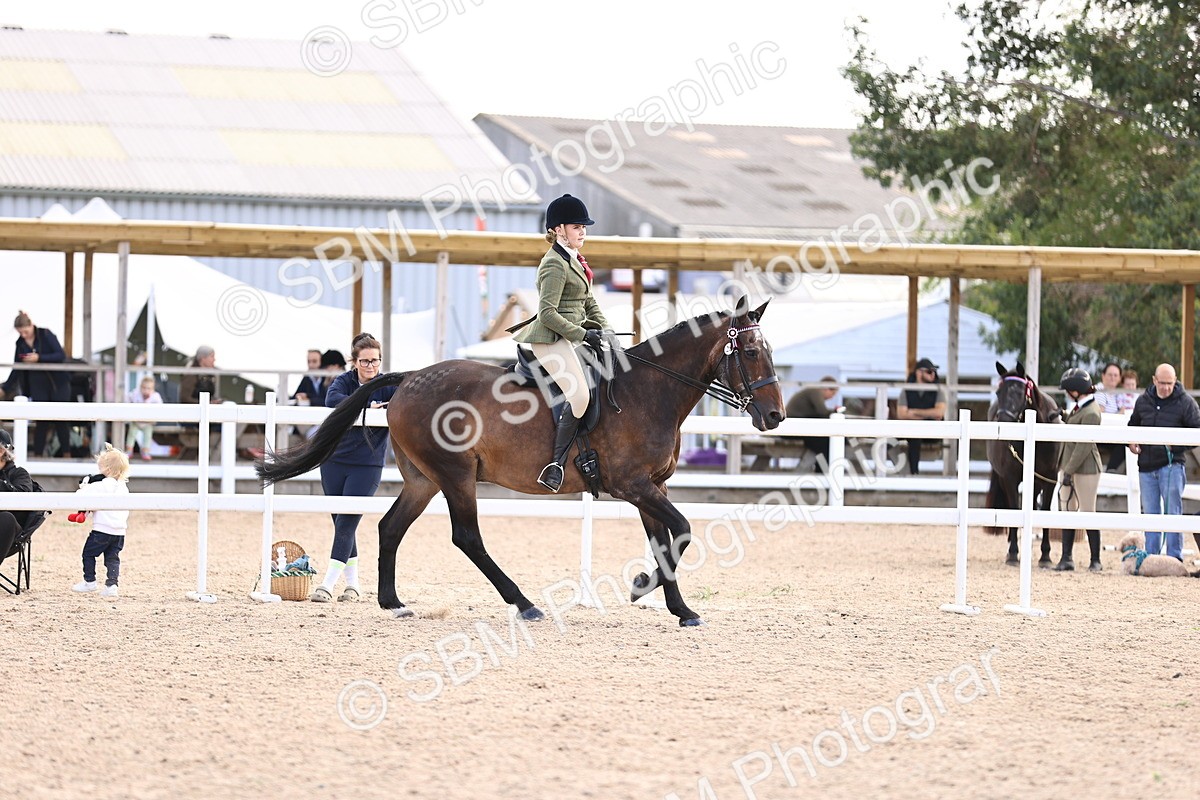 SBM_12965 - Class 410 - Grassroots Ridden - Horse