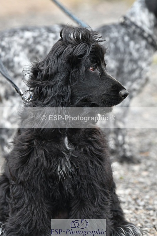 230817-124551-02809 - Stable Shots