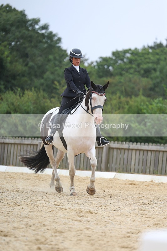 3E7A7066 - Class 7: Novice 4 2024 Section B