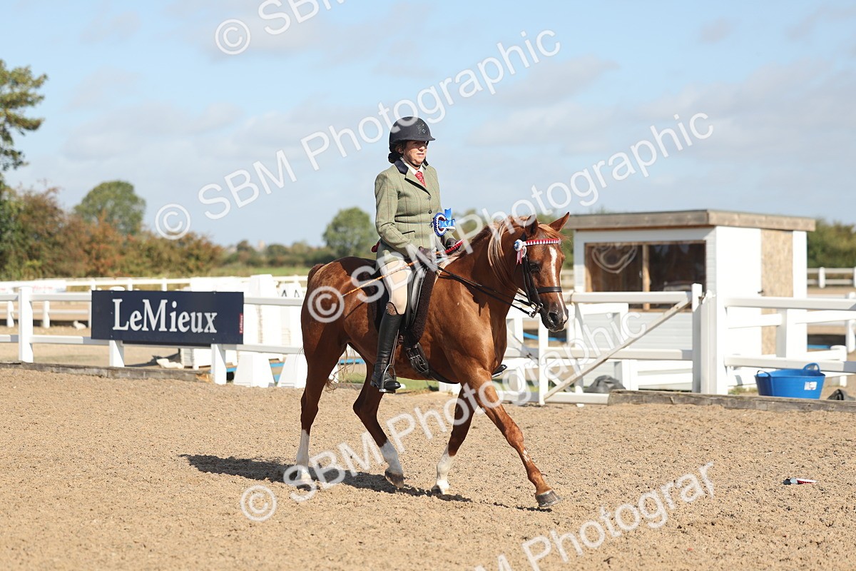 SBM_22350 - Class 803 - Ridden Combination 65+