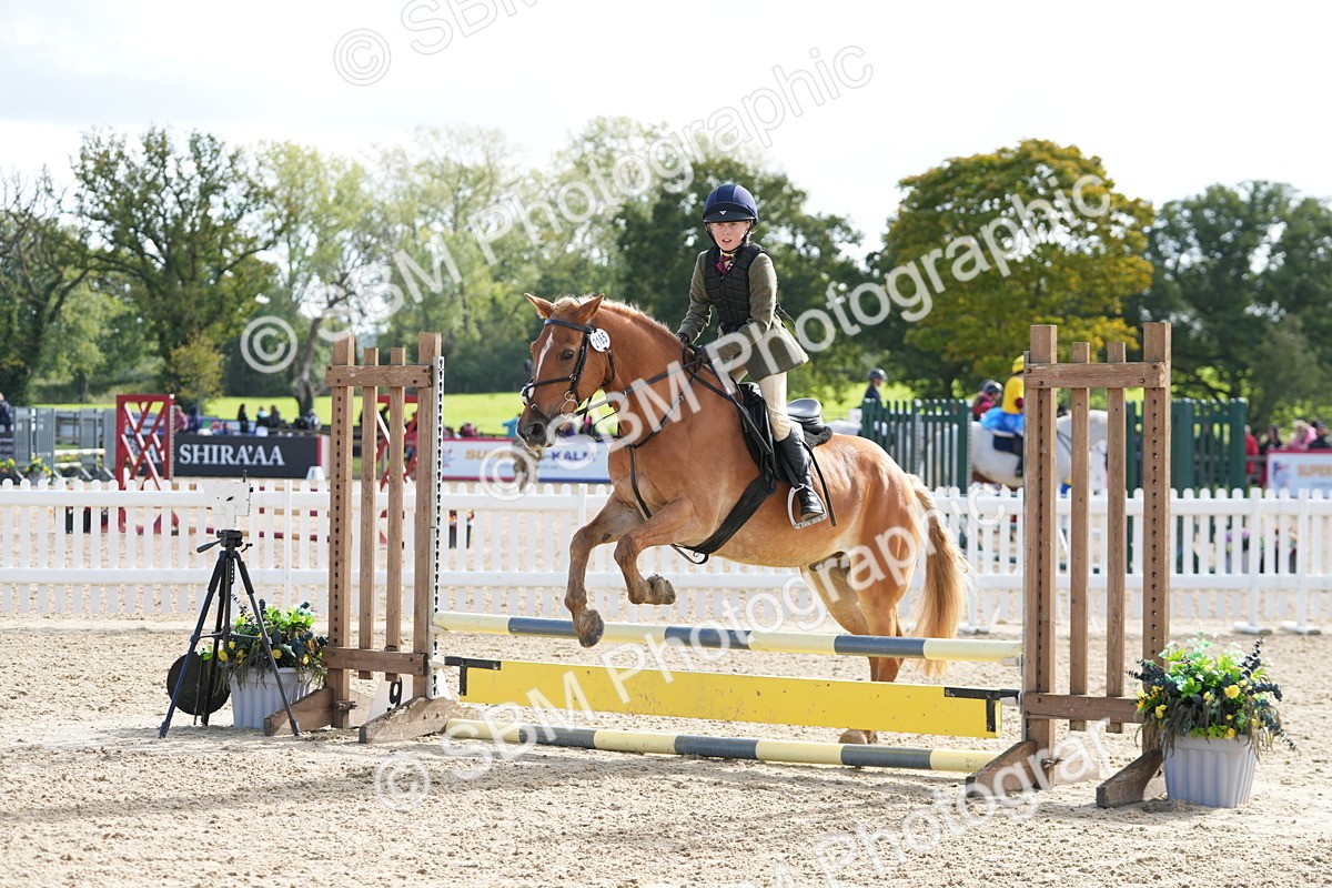 SBM_48482 - J7 - Junior Pony 60cm Championship