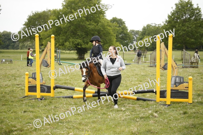 20250517-0077 - Class 1 - 30cm On Lead Rein