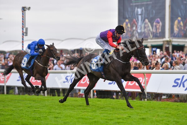 yr24072021r6-11 - Race 6 5.00pm Sky Bet Supporting New Beginnings