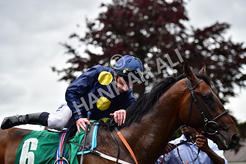 170625-Race 5-Blue RC-4033 - Race 5