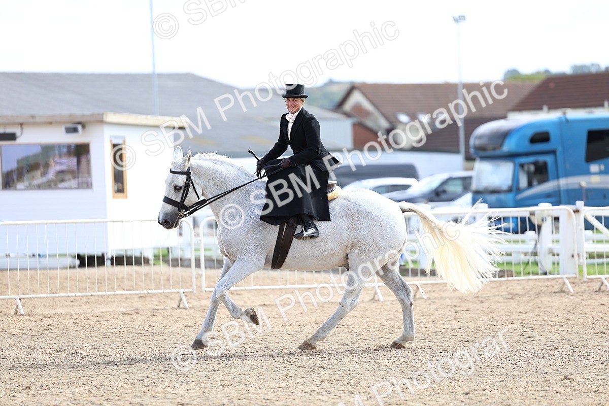 SBM_03254 - Class 22 - SSA Equitation (any age)