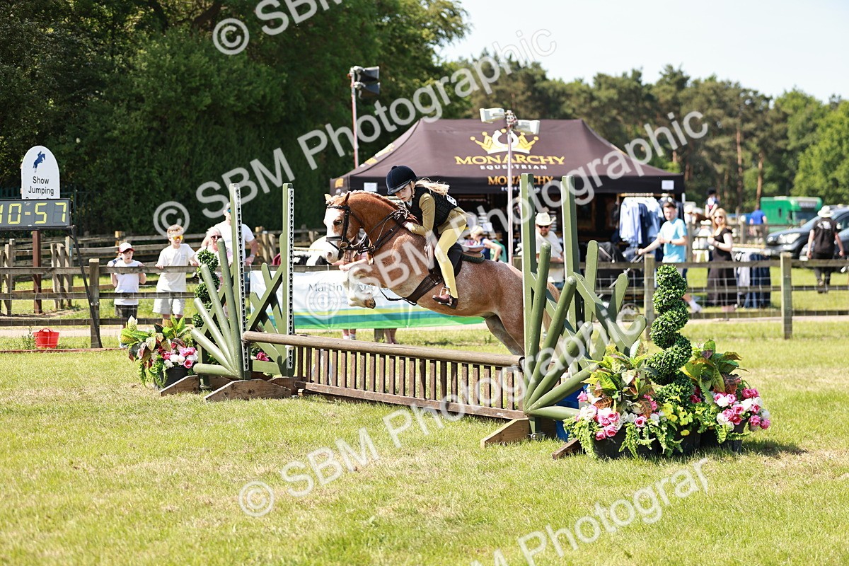 SBM_13587 - Class 108-109 - BSPS LIHS Open Gradle & Nursery Stakes