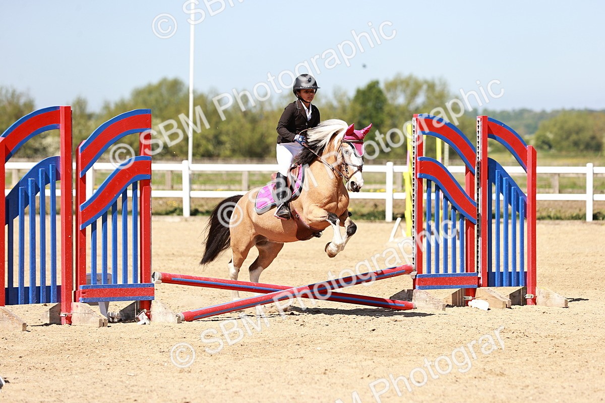 SBM_006994 - Class 2 - 50cm