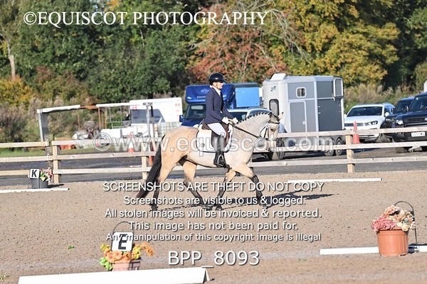 BPP_8093 - SHORT ARENA