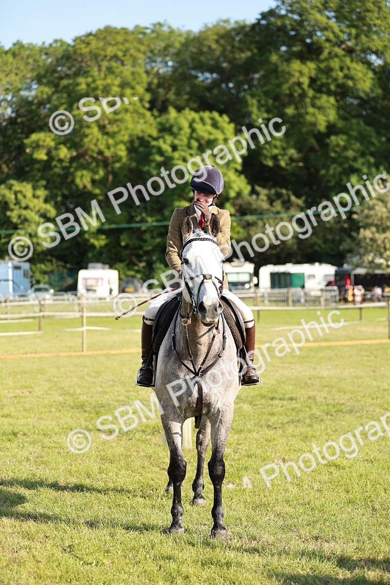 SBM_20045 - Class 115-116 - LIHS BSHA Rising Star Working Hunter & Show Horse