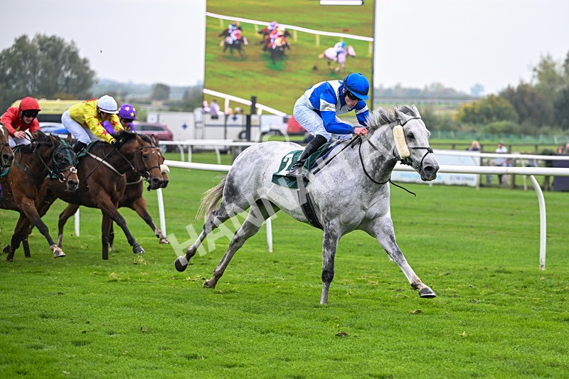 181025-Race 5-Mudamer-0848 - Race 5