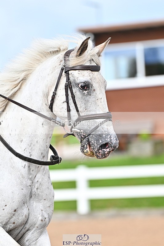 240723A-172122-00386 - 80cm