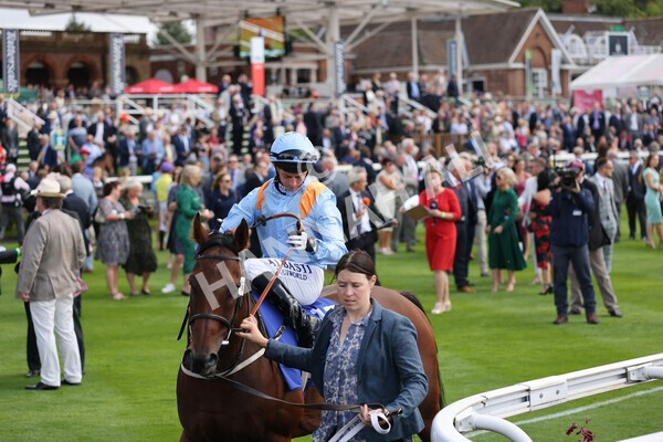 yr18082021r1-27 - Race 1 1.50pm Sky Bet & Symphony Group Stakes