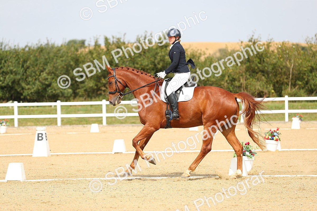 SBM_017289 - Class 13 - Novice 23 - 13.31-14.13