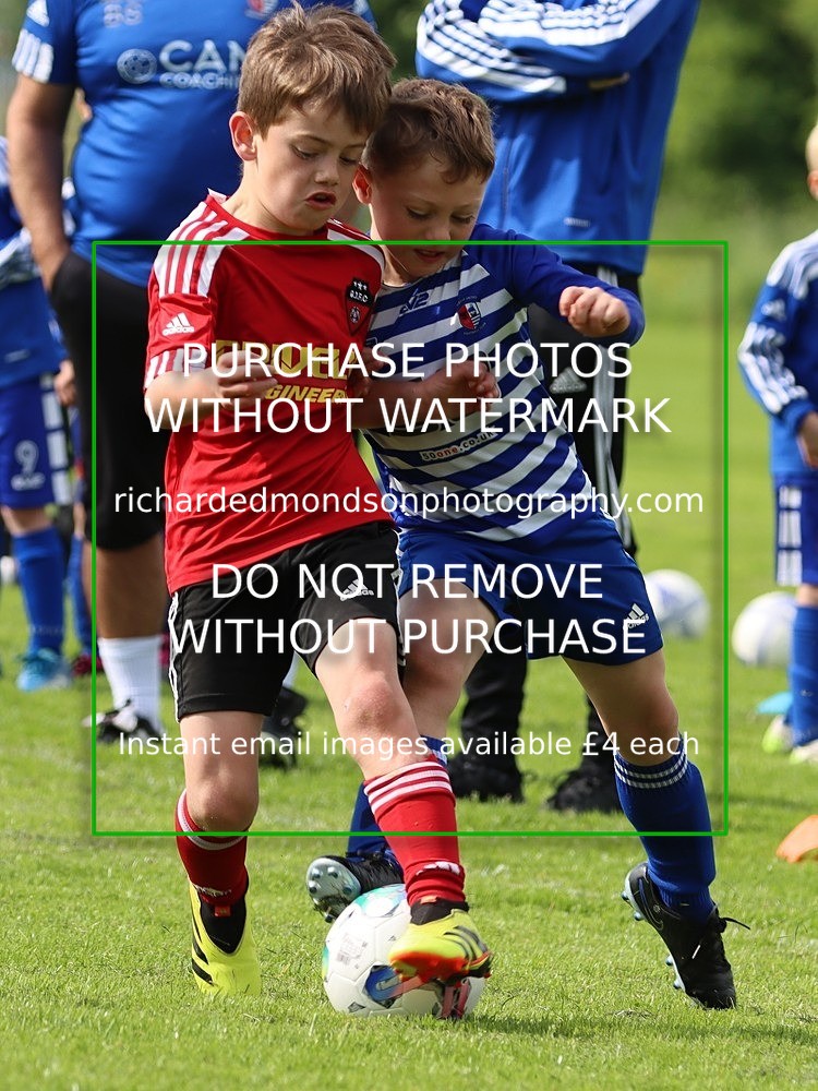 IMG_1762 - Ambleside Under 7's vs Grange Under 7's