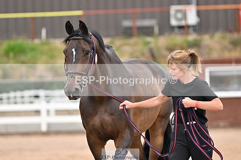 250716-163412-02673 - Trot Up 4.30 to 5.00