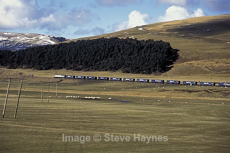 1st March 2010 - Crawford, South Lanarkshire (WCML)