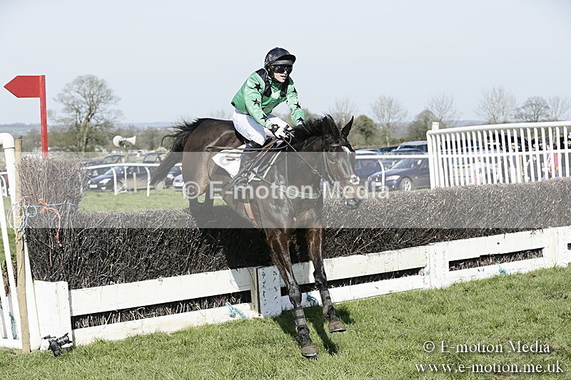 PtP 260317 298 - Mendip Farmers Point-to-Point Ston Easton 26/03/17