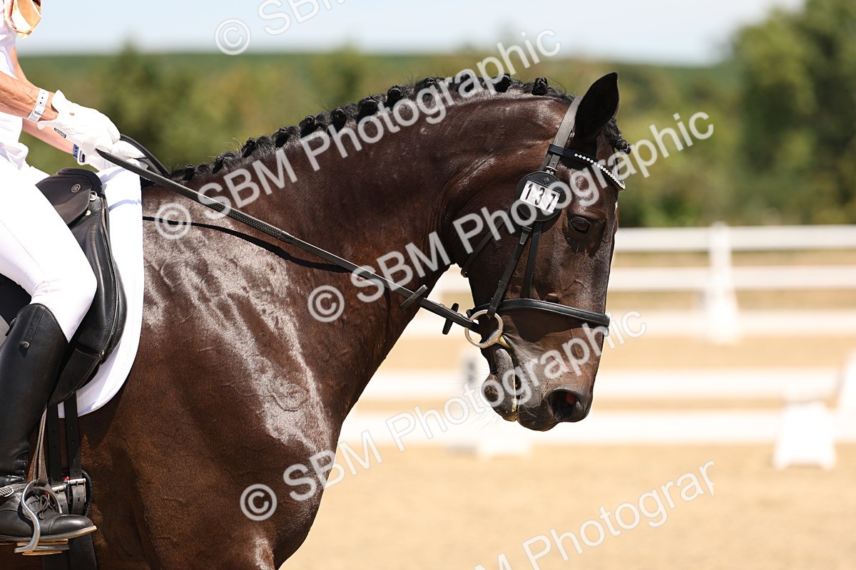 SBM_002121 - Elementary 4 Warm Up