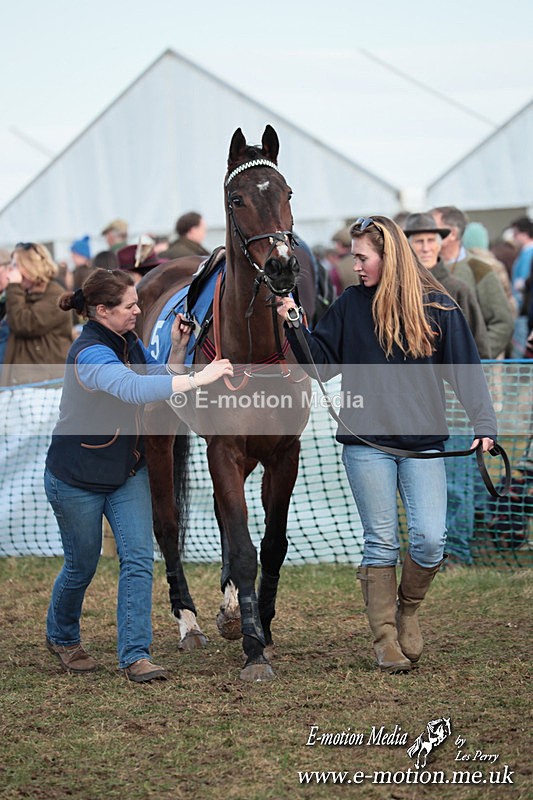 PtP 010325 534 - Beaufort Races Didmarton 01/03/25