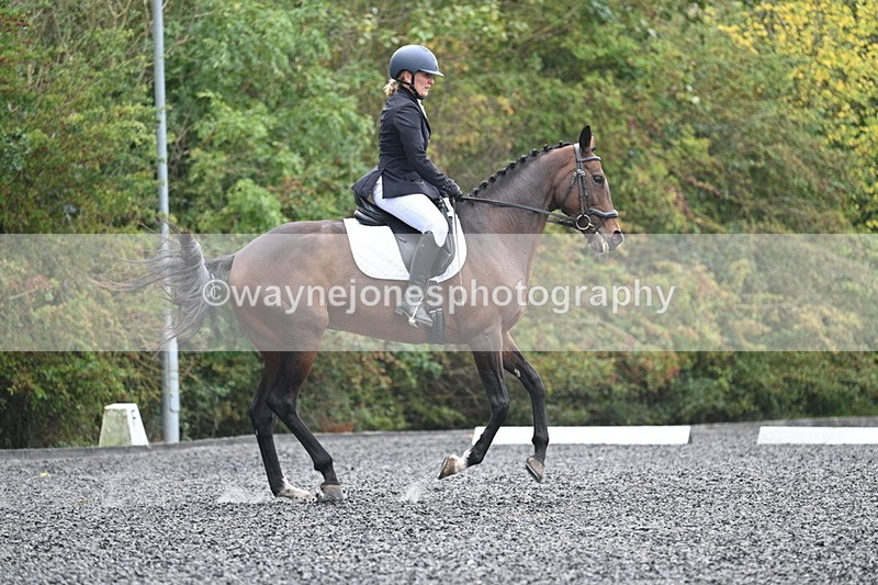 WJ7_3900 - Time 11:04 to 11:38