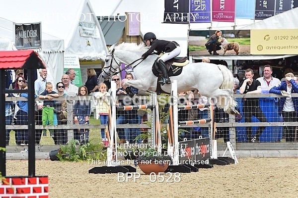 BPP_0528 - RHS 2019 Selection - *Just some random spectator shots so Lucky Dip if you are there!