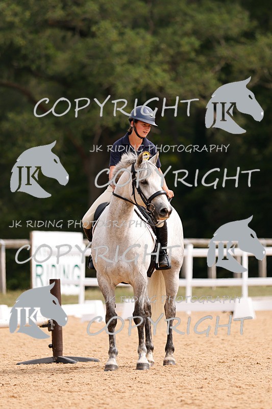 _R6A2799 - Dressage Morning