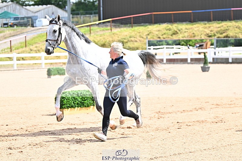240718A-105236-00914 - Trot Up 11am to 12pm