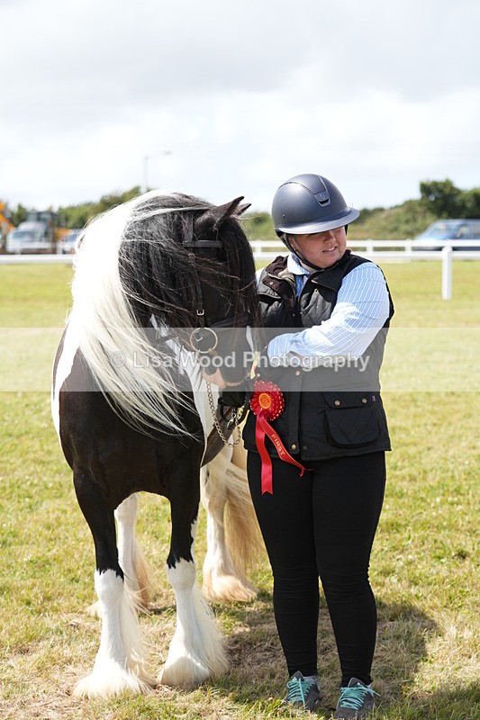 DSC06954 - Class 60: Coloured Pony 4yrs & over
